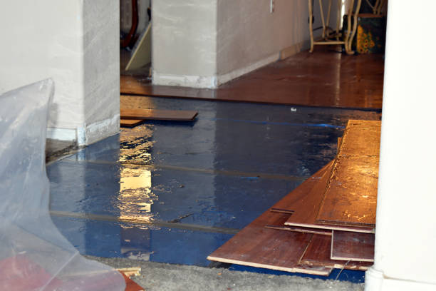 Professional Burst Pipe Cleanup technician working in Montague, TX