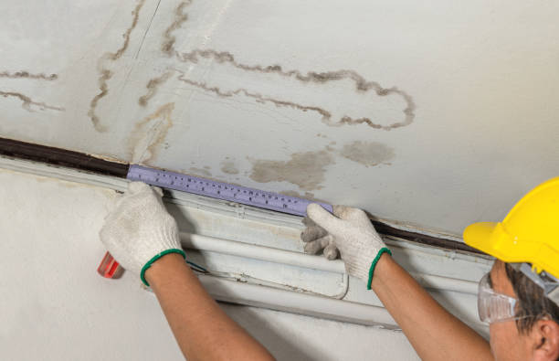 Reliable Burst Pipe Cleanup contractor in Montague, TX by Water Damage Irwin